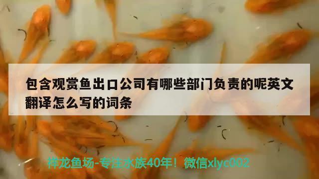 包含觀賞魚出口公司有哪些部門負(fù)責(zé)的呢英文翻譯怎么寫的詞條