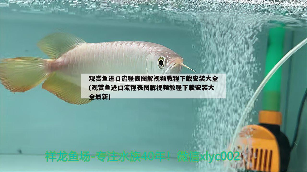 觀賞魚進(jìn)口流程表圖解視頻教程下載安裝大全(觀賞魚進(jìn)口流程表圖解視頻教程下載安裝大全最新) 觀賞魚進(jìn)出口