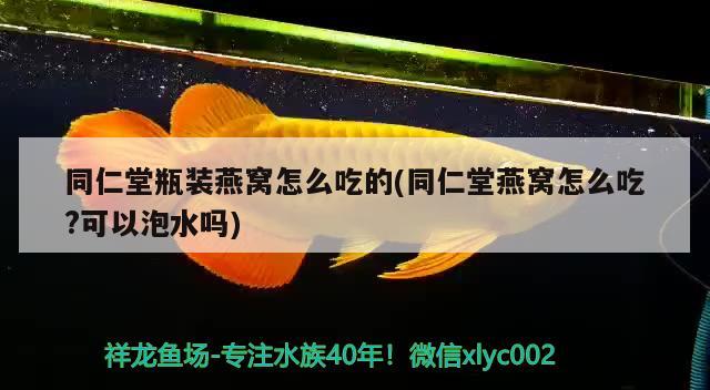 同仁堂瓶裝燕窩怎么吃的(同仁堂燕窩怎么吃?可以泡水嗎) 馬來西亞燕窩