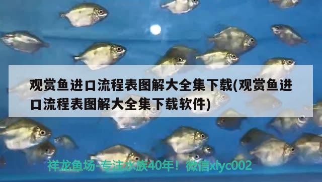 觀賞魚進(jìn)口流程表圖解大全集下載(觀賞魚進(jìn)口流程表圖解大全集下載軟件)