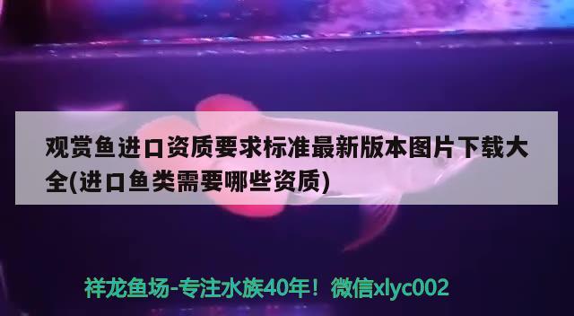 觀賞魚進(jìn)口資質(zhì)要求標(biāo)準(zhǔn)最新版本圖片下載大全(進(jìn)口魚類需要哪些資質(zhì)) 觀賞魚進(jìn)出口