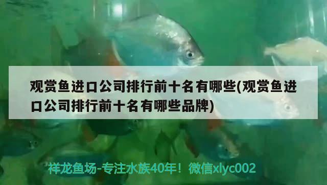 觀賞魚進(jìn)口公司排行前十名有哪些(觀賞魚進(jìn)口公司排行前十名有哪些品牌)