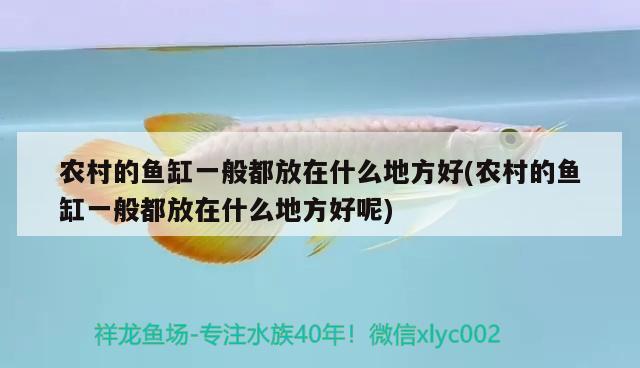 農(nóng)村的魚(yú)缸一般都放在什么地方好(農(nóng)村的魚(yú)缸一般都放在什么地方好呢) 魚(yú)缸等水族設(shè)備