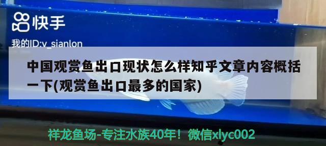 中國觀賞魚出口現(xiàn)狀怎么樣知乎文章內(nèi)容概括一下(觀賞魚出口最多的國家) 觀賞魚進(jìn)出口 第2張