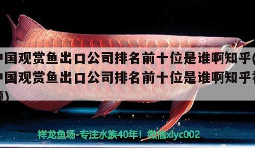 中國觀賞魚出口公司排名前十位是誰啊知乎(中國觀賞魚出口公司排名前十位是誰啊知乎視頻) 觀賞魚進出口