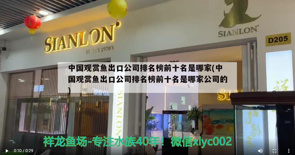 中國觀賞魚出口公司排名榜前十名是哪家(中國觀賞魚出口公司排名榜前十名是哪家公司的) 觀賞魚進(jìn)出口