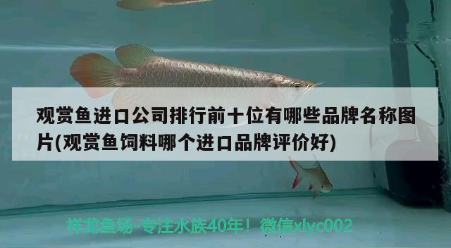 觀賞魚進口公司排行前十位有哪些品牌名稱圖片(觀賞魚飼料哪個進口品牌評價好)