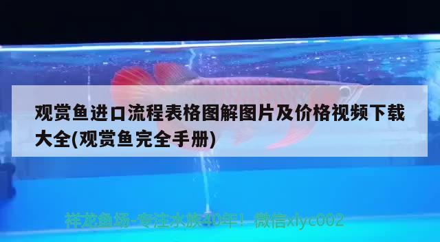 觀賞魚進口流程表格圖解圖片及價格視頻下載大全(觀賞魚完全手冊) 觀賞魚進出口