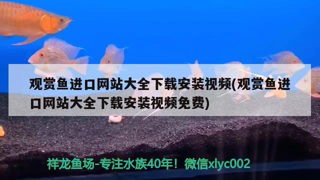 觀賞魚進口網(wǎng)站大全下載安裝視頻(觀賞魚進口網(wǎng)站大全下載安裝視頻免費) 觀賞魚進出口