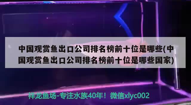 中國觀賞魚出口公司排名榜前十位是哪些(中國觀賞魚出口公司排名榜前十位是哪些國家)