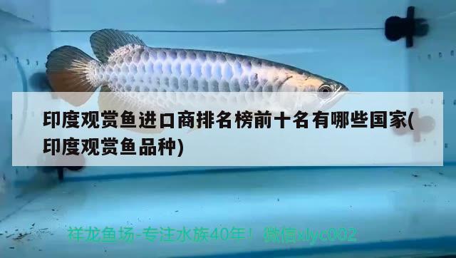 印度觀賞魚進(jìn)口商排名榜前十名有哪些國家(印度觀賞魚品種)