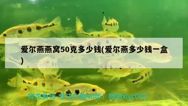 愛爾燕燕窩50克多少錢(愛爾燕多少錢一盒)