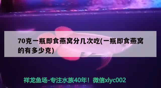 70克一瓶即食燕窩分幾次吃(一瓶即食燕窩的有多少克) 馬來(lái)西亞燕窩