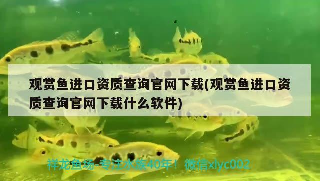 觀賞魚進口資質(zhì)查詢官網(wǎng)下載(觀賞魚進口資質(zhì)查詢官網(wǎng)下載什么軟件) 觀賞魚進出口