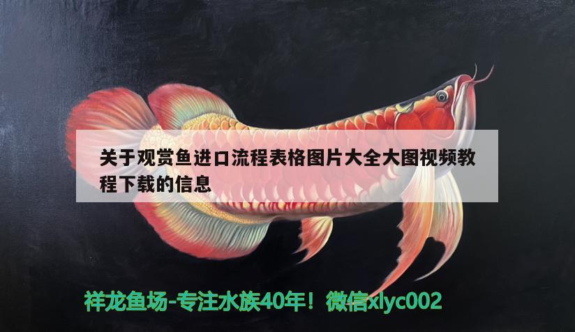 關(guān)于觀賞魚進(jìn)口流程表格圖片大全大圖視頻教程下載的信息 觀賞魚進(jìn)出口