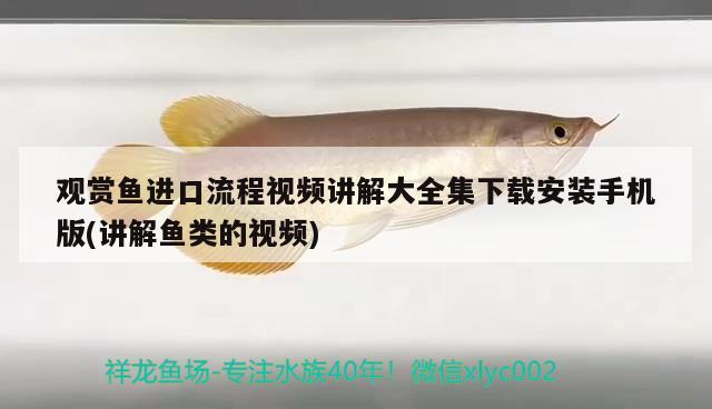 觀賞魚進(jìn)口流程視頻講解大全集下載安裝手機(jī)版(講解魚類的視頻)