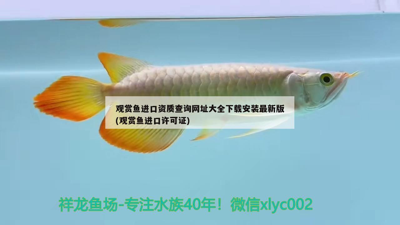 觀賞魚進(jìn)口資質(zhì)查詢網(wǎng)址大全下載安裝最新版(觀賞魚進(jìn)口許可證)