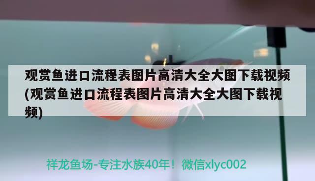 觀賞魚進口流程表圖片高清大全大圖下載視頻(觀賞魚進口流程表圖片高清大全大圖下載視頻)