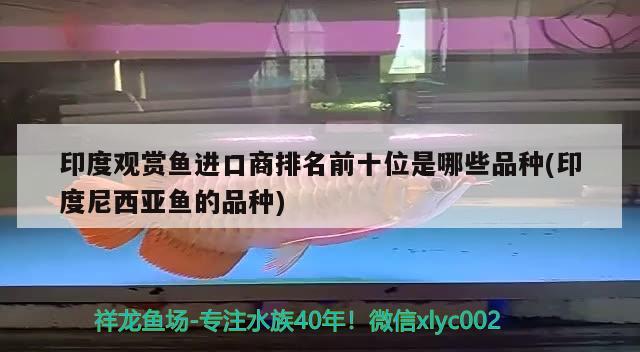 印度觀賞魚進口商排名前十位是哪些品種(印度尼西亞魚的品種)