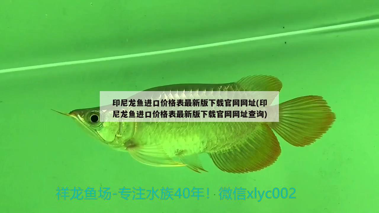 印尼龍魚進口價格表最新版下載官網(wǎng)網(wǎng)址(印尼龍魚進口價格表最新版下載官網(wǎng)網(wǎng)址查詢)