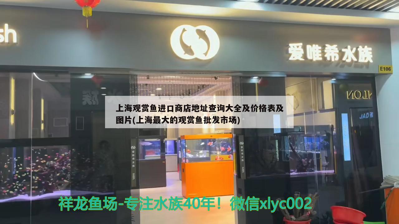 上海觀賞魚進口商店地址查詢大全及價格表及圖片(上海最大的觀賞魚批發(fā)市場) 觀賞魚進出口