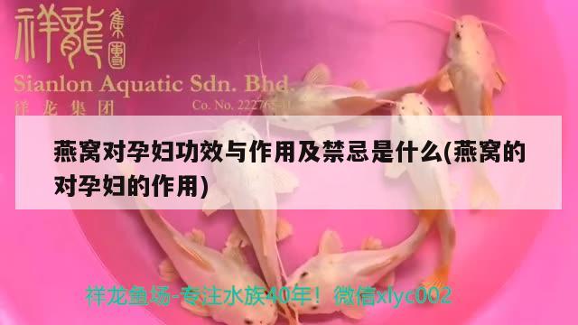 燕窩對(duì)孕婦功效與作用及禁忌是什么(燕窩的對(duì)孕婦的作用) 馬來(lái)西亞燕窩