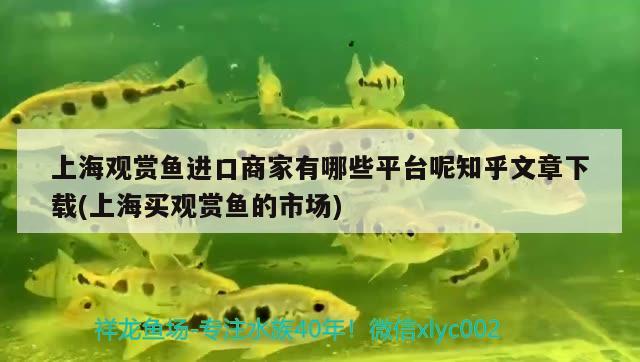 上海觀賞魚進(jìn)口商家有哪些平臺呢知乎文章下載(上海買觀賞魚的市場)