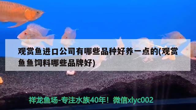 觀賞魚(yú)進(jìn)口公司有哪些品種好養(yǎng)一點(diǎn)的(觀賞魚(yú)魚(yú)飼料哪些品牌好)