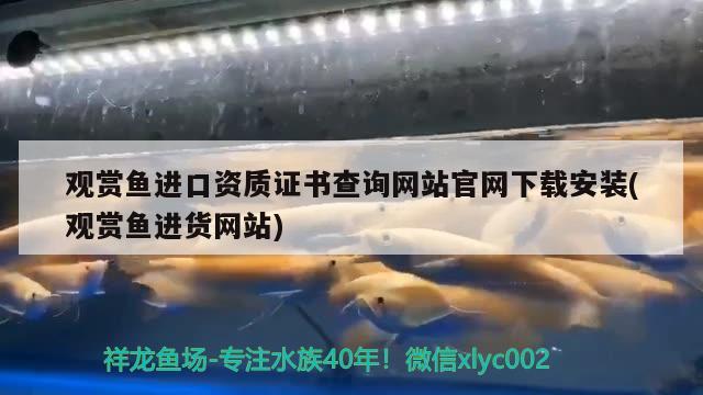 觀賞魚進口資質證書查詢網站官網下載安裝(觀賞魚進貨網站)