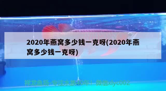 2020年燕窩多少錢一克呀(2020年燕窩多少錢一克呀) 馬來西亞燕窩 第2張