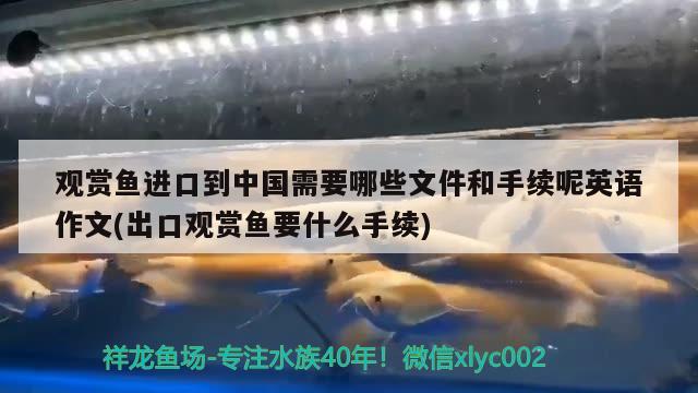 觀賞魚進口到中國需要哪些文件和手續(xù)呢英語作文(出口觀賞魚要什么手續(xù)) 觀賞魚進出口