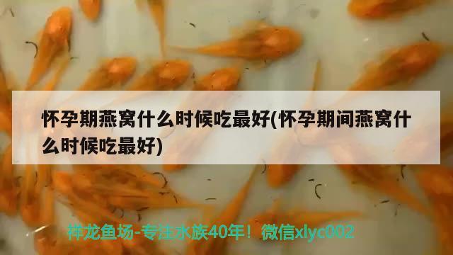 懷孕期燕窩什么時(shí)候吃最好(懷孕期間燕窩什么時(shí)候吃最好) 馬來(lái)西亞燕窩