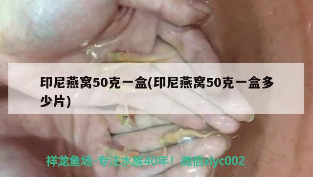 印尼燕窩50克一盒(印尼燕窩50克一盒多少片) 馬來西亞燕窩