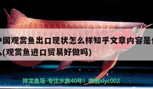 中國觀賞魚出口現(xiàn)狀怎么樣知乎文章內(nèi)容是什么(觀賞魚進(jìn)口貿(mào)易好做嗎)