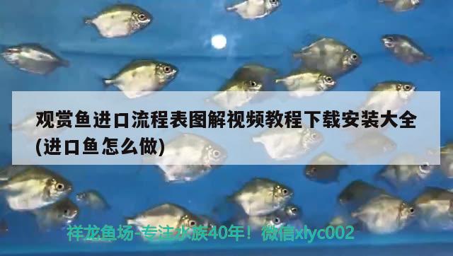 觀賞魚進(jìn)口流程表圖解視頻教程下載安裝大全(進(jìn)口魚怎么做)