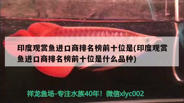 印度觀賞魚進(jìn)口商排名榜前十位是(印度觀賞魚進(jìn)口商排名榜前十位是什么品種) 觀賞魚進(jìn)出口