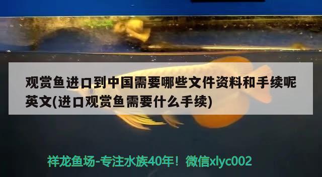 觀賞魚進(jìn)口到中國需要哪些文件資料和手續(xù)呢英文(進(jìn)口觀賞魚需要什么手續(xù))