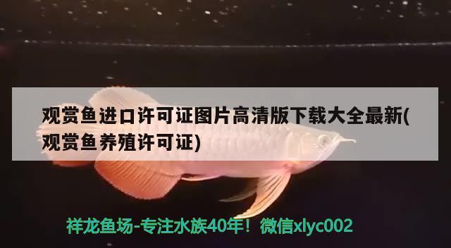 觀賞魚(yú)進(jìn)口許可證圖片高清版下載大全最新(觀賞魚(yú)養(yǎng)殖許可證)