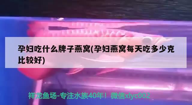 孕婦吃什么牌子燕窩(孕婦燕窩每天吃多少克比較好) 馬來西亞燕窩