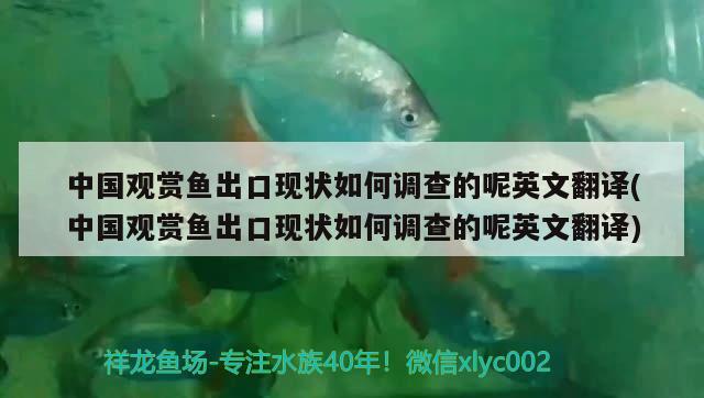 中國(guó)觀賞魚(yú)出口現(xiàn)狀如何調(diào)查的呢英文翻譯(中國(guó)觀賞魚(yú)出口現(xiàn)狀如何調(diào)查的呢英文翻譯) 觀賞魚(yú)進(jìn)出口