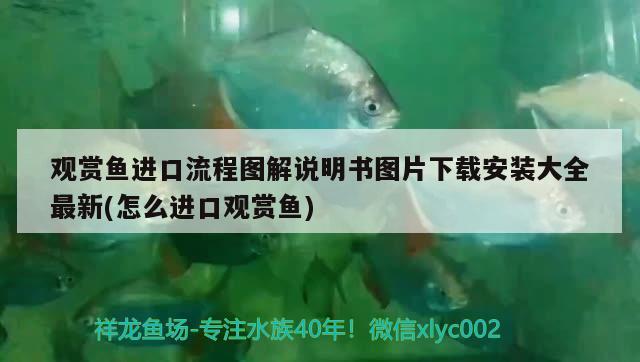 觀賞魚進(jìn)口流程圖解說明書圖片下載安裝大全最新(怎么進(jìn)口觀賞魚) 觀賞魚進(jìn)出口