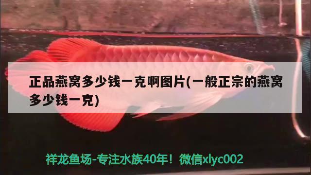 正品燕窩多少錢一克啊圖片(一般正宗的燕窩多少錢一克) 馬來西亞燕窩