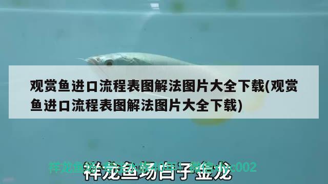 觀賞魚進(jìn)口流程表圖解法圖片大全下載(觀賞魚進(jìn)口流程表圖解法圖片大全下載)