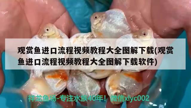 觀賞魚(yú)進(jìn)口流程視頻教程大全圖解下載(觀賞魚(yú)進(jìn)口流程視頻教程大全圖解下載軟件) 觀賞魚(yú)進(jìn)出口