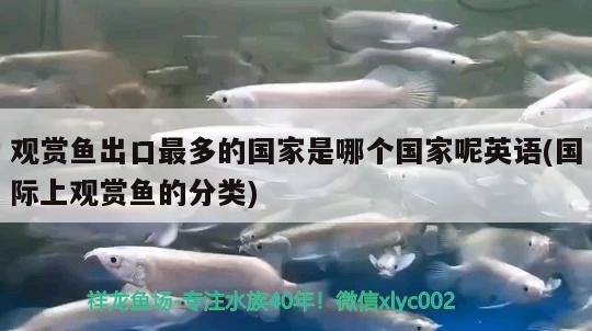 觀賞魚出口最多的國家是哪個國家呢英語(國際上觀賞魚的分類)