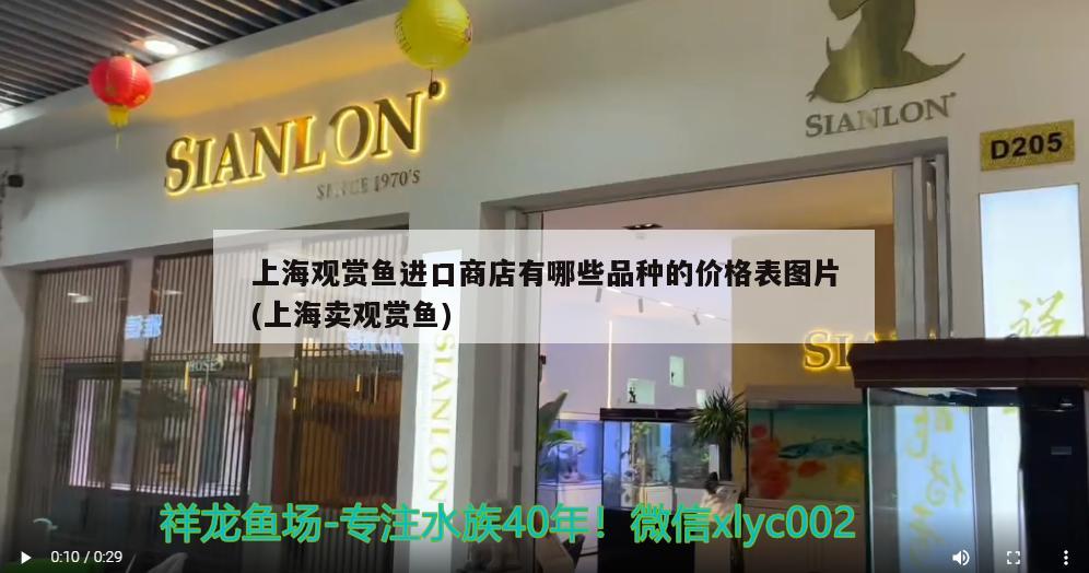 上海觀賞魚進(jìn)口商店有哪些品種的價(jià)格表圖片(上海賣觀賞魚)