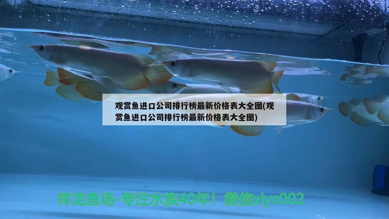 觀賞魚進口公司排行榜最新價格表大全圖(觀賞魚進口公司排行榜最新價格表大全圖)