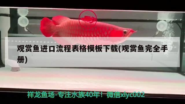 觀賞魚進(jìn)口流程表格模板下載(觀賞魚完全手冊(cè)) 觀賞魚進(jìn)出口 第3張