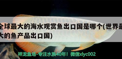 全球最大的海水觀賞魚出口國是哪個(世界最大的魚產(chǎn)品出口國)