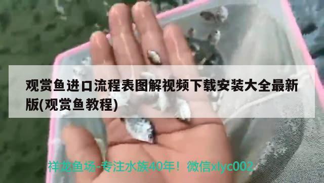 觀賞魚進(jìn)口流程表圖解視頻下載安裝大全最新版(觀賞魚教程) 觀賞魚進(jìn)出口 第1張